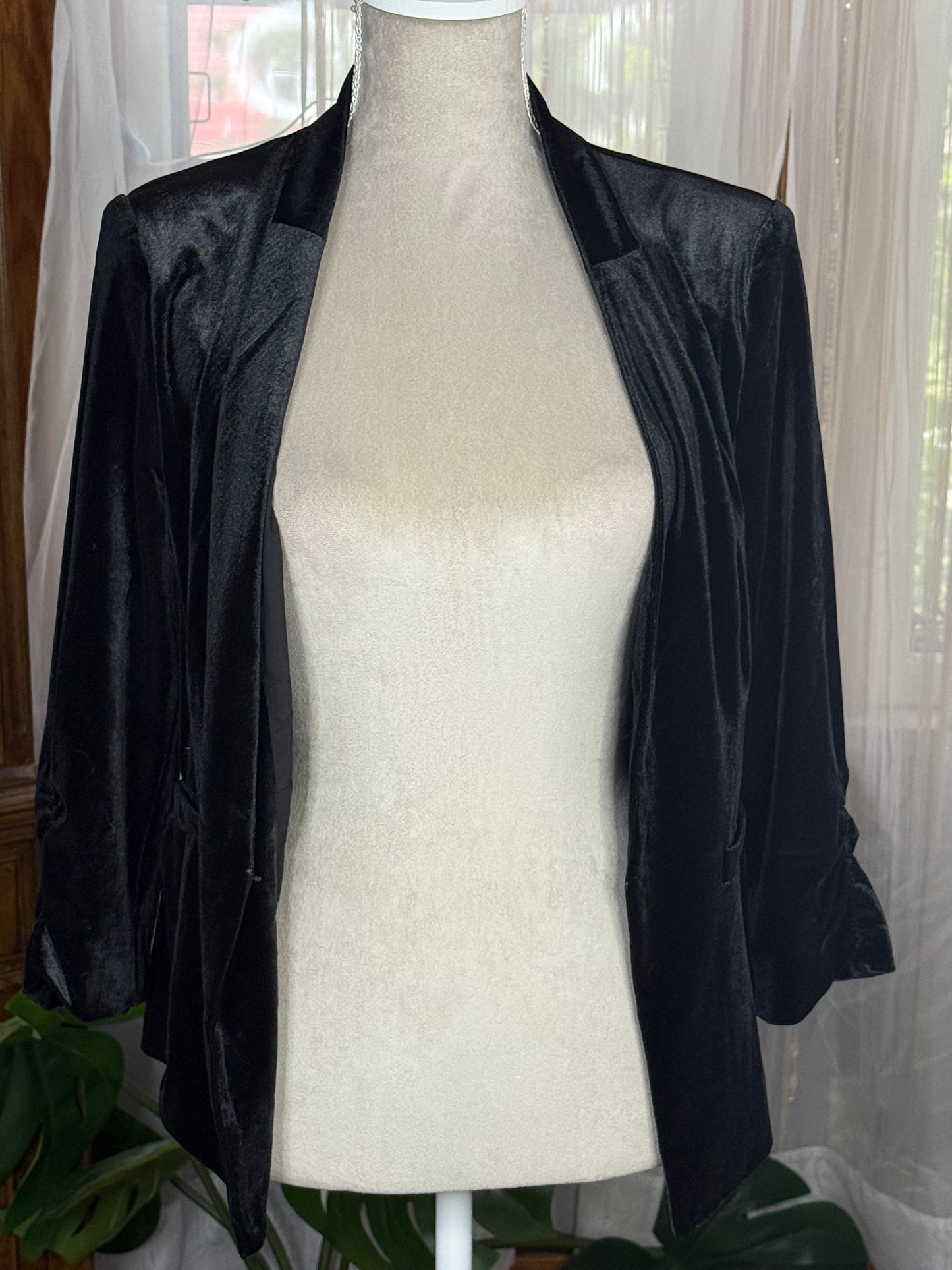 Premise Velvet Blazer